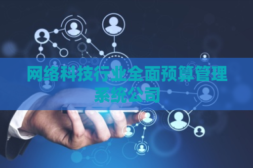 网络科技行业全面预算管理系统公司