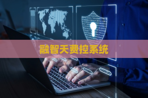 融智天费控系统