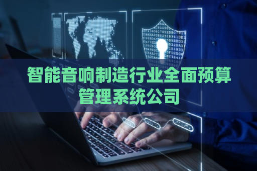 智能音响制造行业全面预算管理系统公司