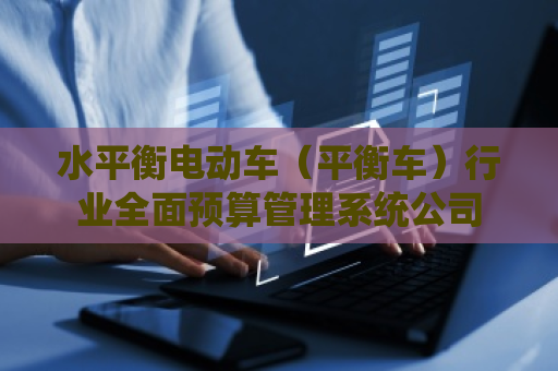 水平衡电动车(平衡车)行业全面预算管理系统公司 水平衡电动车(平衡车)行业全面预算管理系统公司