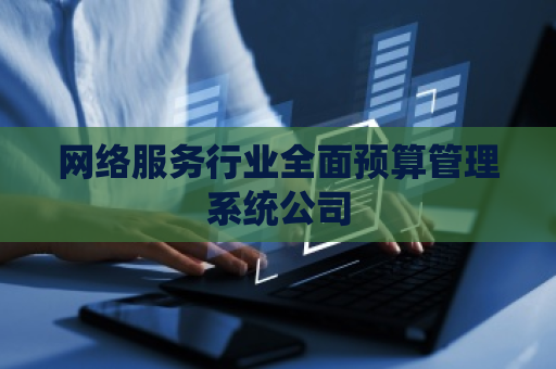 网络服务行业全面预算管理系统公司