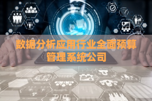 数据分析应用行业全面预算管理系统公司