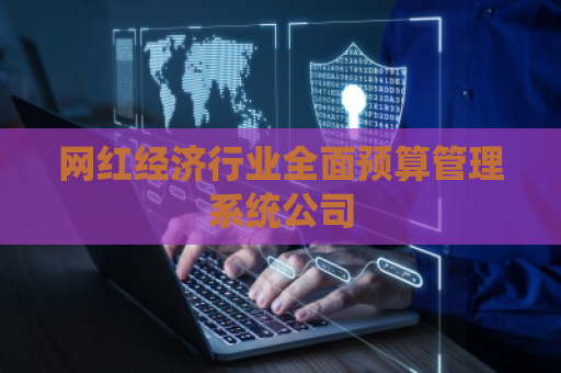 网红经济行业全面预算管理系统公司 网红经济行业全面预算管理系统公司