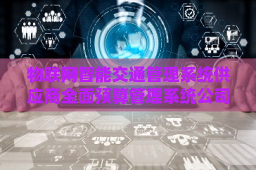 物联网智能交通管理系统供应商全面预算管理系统公司 物联网智能交通管理系统供应商全面预算管理系统公司