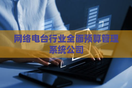 网络电台行业全面预算管理系统公司 网络电台行业全面预算管理系统公司