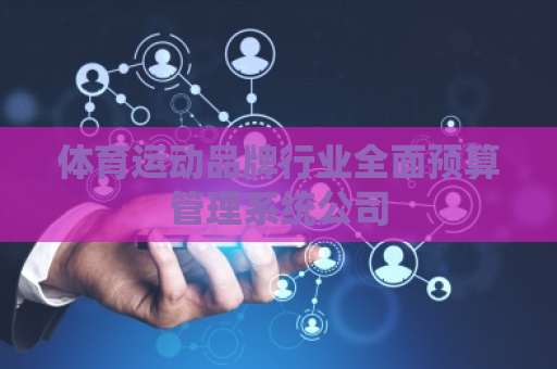 体育运动品牌行业全面预算管理系统公司 体育运动品牌行业全面预算管理系统公司