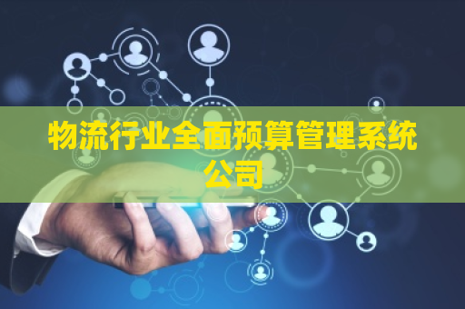 物流行业全面预算管理系统公司