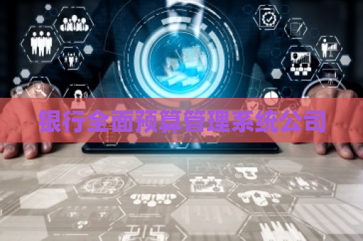 银行全面预算管理系统公司